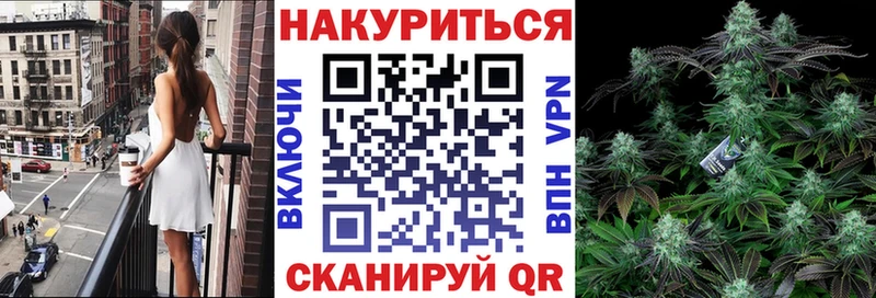 сколько стоит  даркнет как зайти  Марихуана сатива  Хасавюрт 